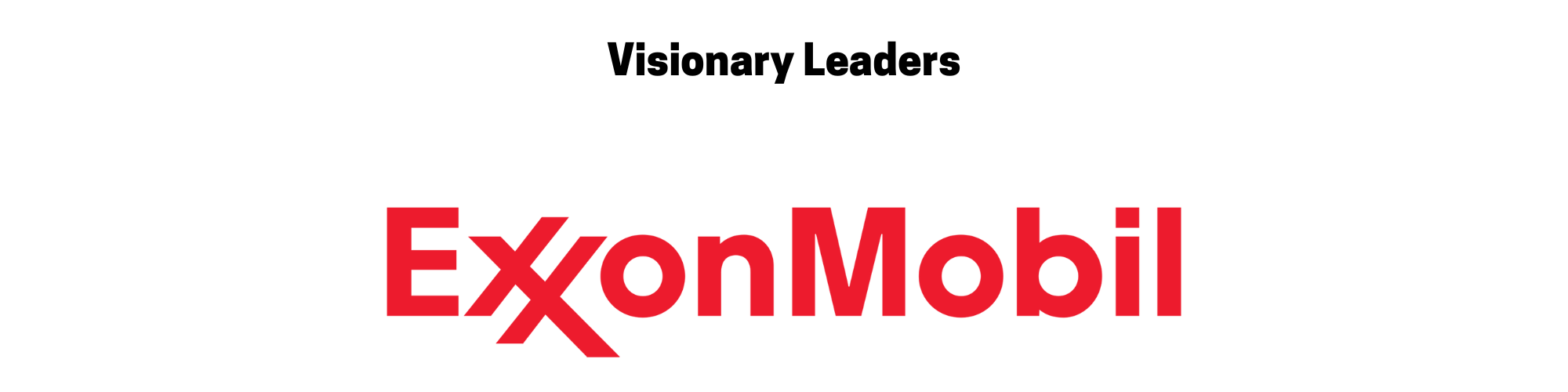 Visionary Leaders